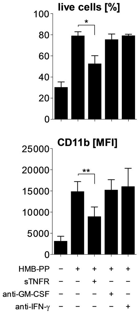 https://cdn.ncbi.nlm.nih.gov/pmc/blobs/03b6/3093373/dd5d708694ad/ppat.1002040.g003.jpg