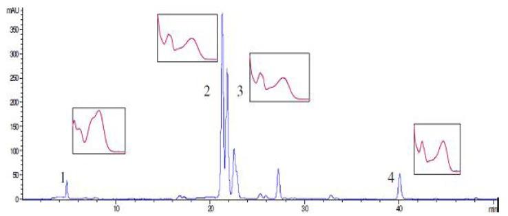 https://cdn.ncbi.nlm.nih.gov/pmc/blobs/03b6/6268942/de46f268e844/molecules-17-00275-g001.jpg
