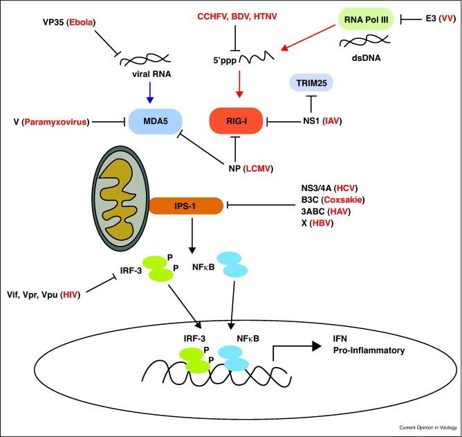 https://cdn.ncbi.nlm.nih.gov/pmc/blobs/03b7/7185374/36711ae31703/gr3.jpg