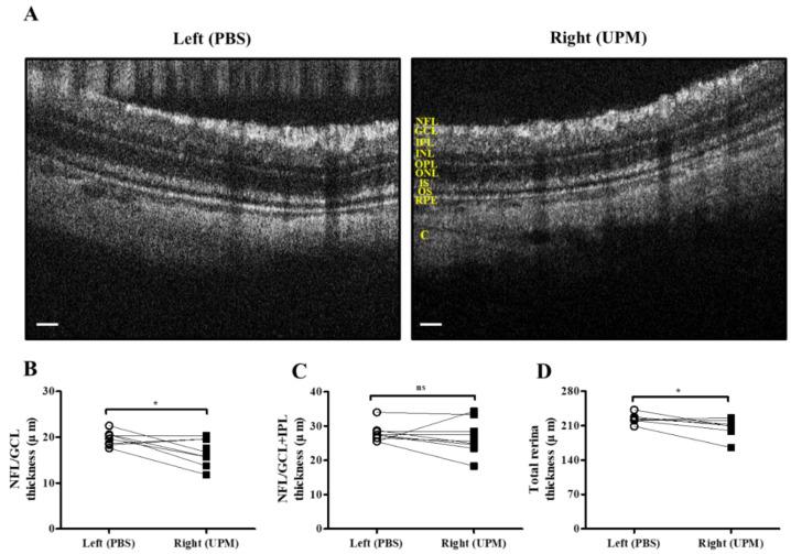 https://cdn.ncbi.nlm.nih.gov/pmc/blobs/03b7/7404123/a94008e5fac1/ijms-21-04976-g007.jpg