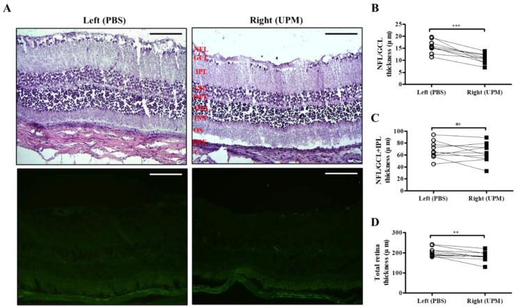 https://cdn.ncbi.nlm.nih.gov/pmc/blobs/03b7/7404123/ea87dc6e45b3/ijms-21-04976-g008.jpg