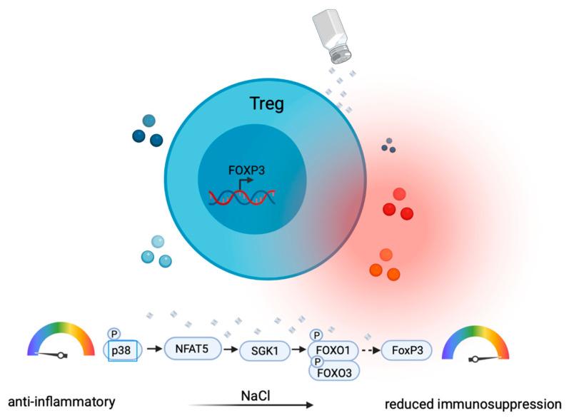 https://cdn.ncbi.nlm.nih.gov/pmc/blobs/03b9/8471541/cbd9b5d13190/cells-10-02365-g003.jpg