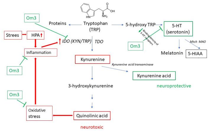 https://cdn.ncbi.nlm.nih.gov/pmc/blobs/03bb/10896889/d6446397efb0/fpsyt-15-1347178-g001.jpg