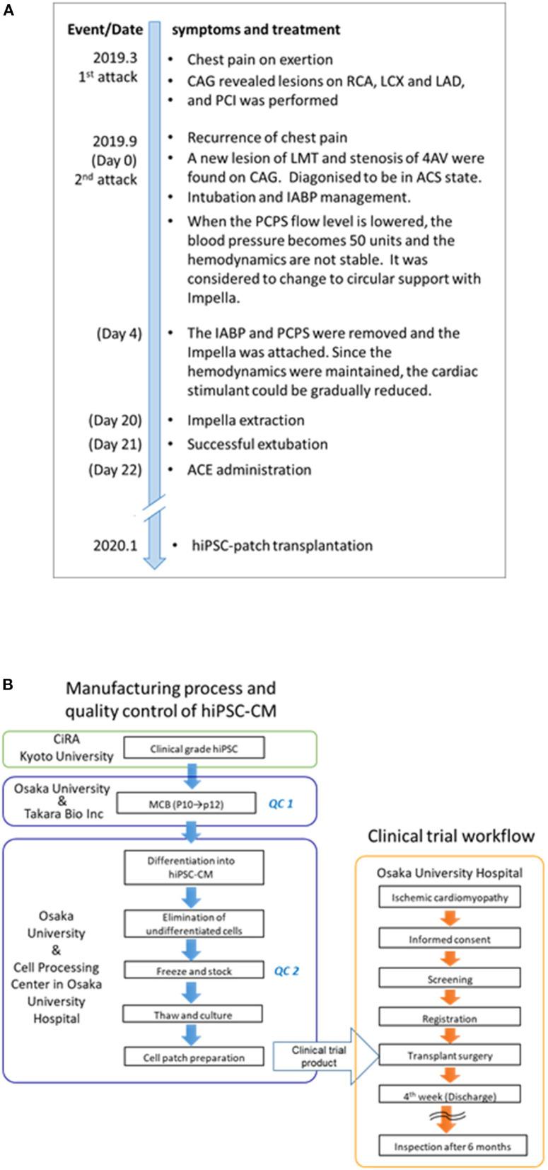 https://cdn.ncbi.nlm.nih.gov/pmc/blobs/03be/9426776/97e034ff70c0/fcvm-09-950829-g0001.jpg