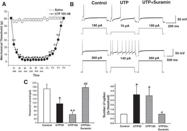 https://cdn.ncbi.nlm.nih.gov/pmc/blobs/03bf/3995183/17551c6ff0c2/1744-8069-10-21-1.jpg