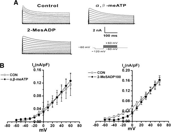 https://cdn.ncbi.nlm.nih.gov/pmc/blobs/03bf/3995183/35f9ec238d1c/1744-8069-10-21-3.jpg