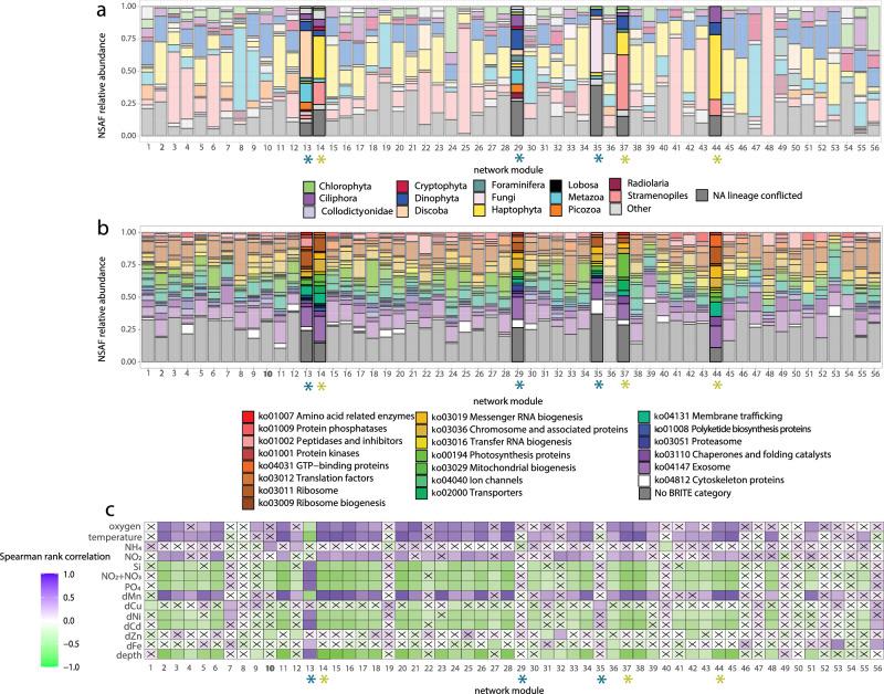 https://cdn.ncbi.nlm.nih.gov/pmc/blobs/03c2/11345423/968e9df8dc87/41467_2024_51583_Fig4_HTML.jpg