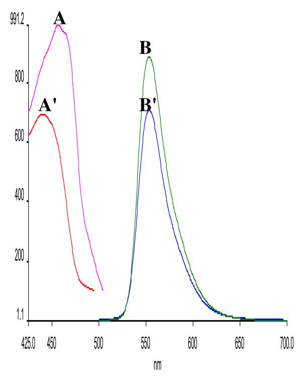 https://cdn.ncbi.nlm.nih.gov/pmc/blobs/03c2/3061886/7cc626ff77e6/1752-153X-5-11-3.jpg