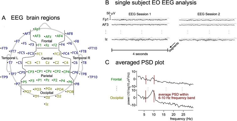 https://cdn.ncbi.nlm.nih.gov/pmc/blobs/03c4/10709380/4736608a959c/41598_2023_48561_Fig2_HTML.jpg