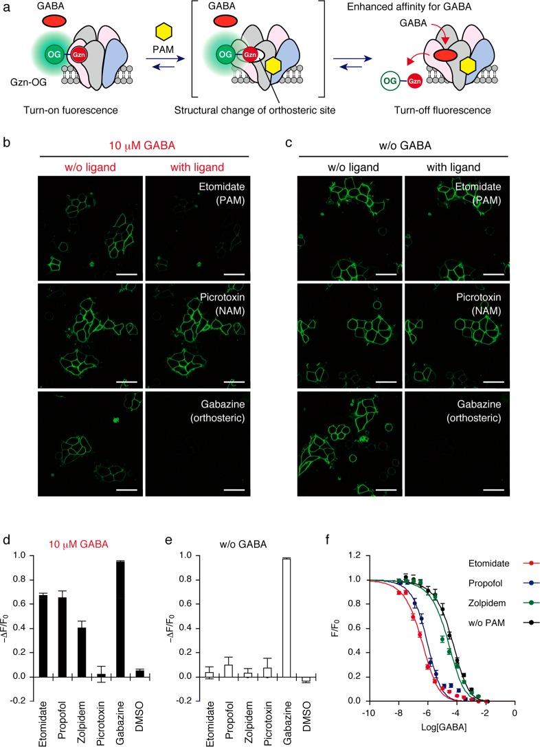 https://cdn.ncbi.nlm.nih.gov/pmc/blobs/03c4/6764212/23101edb5b67/oc9b00539_0003.jpg