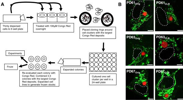 https://cdn.ncbi.nlm.nih.gov/pmc/blobs/03c5/3577453/0d730b006db2/1750-1326-8-6-1.jpg