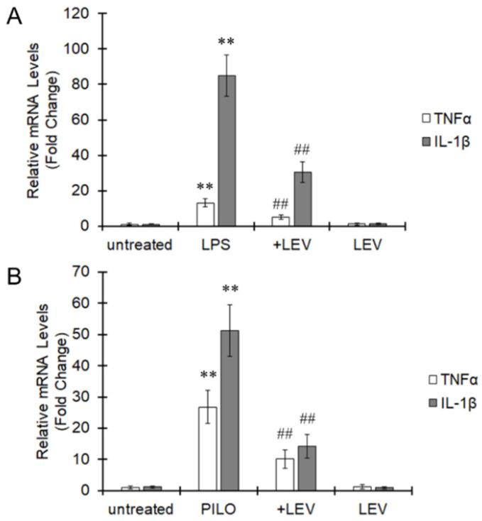 https://cdn.ncbi.nlm.nih.gov/pmc/blobs/03c8/8537483/c6fdff1a451d/ijms-22-10962-g001.jpg