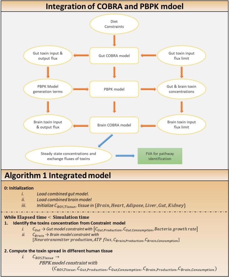https://cdn.ncbi.nlm.nih.gov/pmc/blobs/03c8/8940246/2c563a4dedd8/fphys-13-760753-g004.jpg