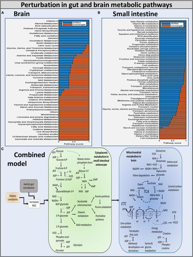 https://cdn.ncbi.nlm.nih.gov/pmc/blobs/03c8/8940246/80ebe4572929/fphys-13-760753-g010.jpg