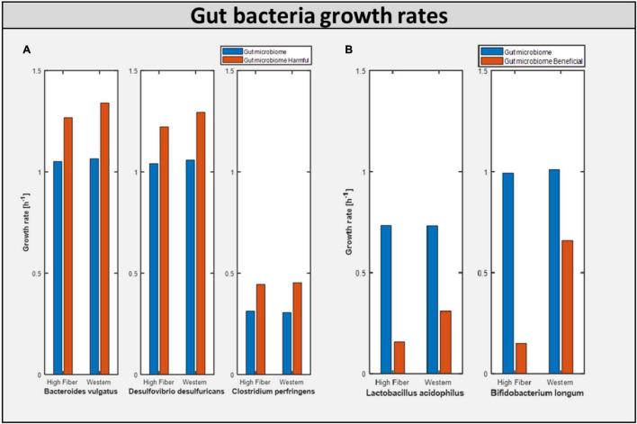 https://cdn.ncbi.nlm.nih.gov/pmc/blobs/03c8/8940246/979f9226f751/fphys-13-760753-g006.jpg
