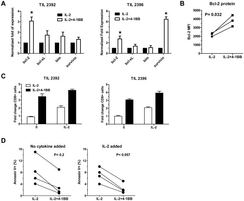 https://cdn.ncbi.nlm.nih.gov/pmc/blobs/03c9/3613355/310315ae1316/pone.0060031.g007.jpg