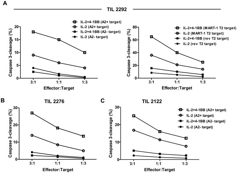 https://cdn.ncbi.nlm.nih.gov/pmc/blobs/03c9/3613355/84a70390f23d/pone.0060031.g006.jpg