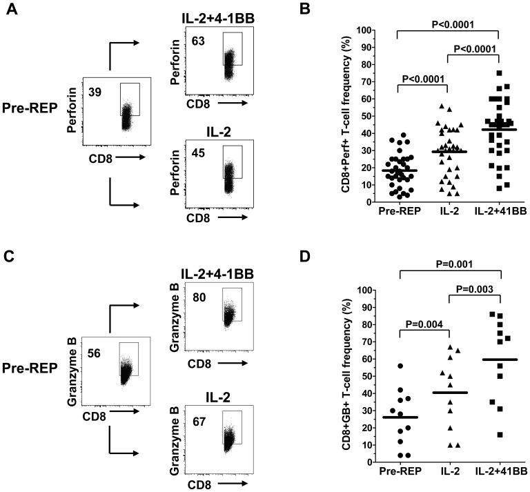 https://cdn.ncbi.nlm.nih.gov/pmc/blobs/03c9/3613355/c0123f7db46b/pone.0060031.g004.jpg