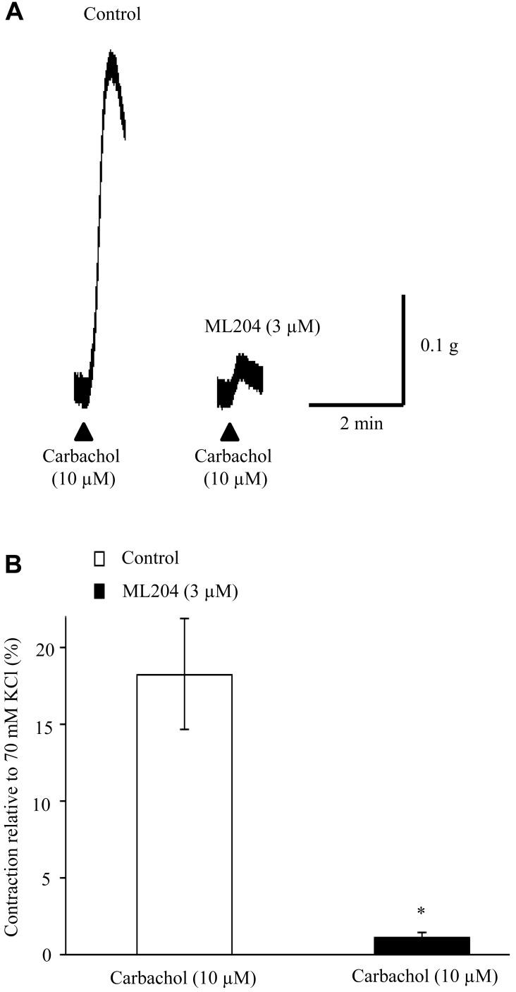 https://cdn.ncbi.nlm.nih.gov/pmc/blobs/03c9/6160885/0df4e8b5ab5a/jvms-80-1407-g006.jpg