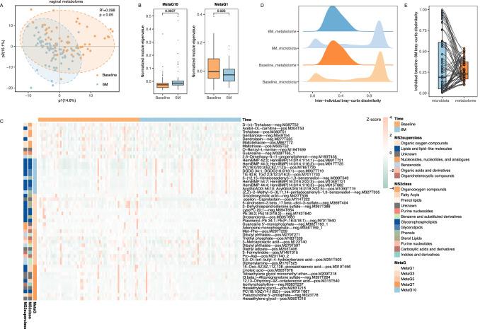 https://cdn.ncbi.nlm.nih.gov/pmc/blobs/03ca/10954630/7c21da3c9d61/41522_2024_500_Fig2_HTML.jpg