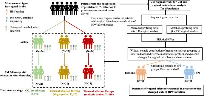 https://cdn.ncbi.nlm.nih.gov/pmc/blobs/03ca/10954630/a3985de54861/41522_2024_500_Fig1_HTML.jpg