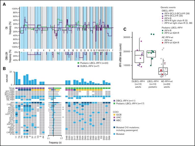 https://cdn.ncbi.nlm.nih.gov/pmc/blobs/03cb/9006278/198f276ac6a8/advancesADV2021006034f6.jpg