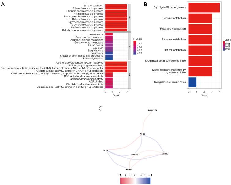 https://cdn.ncbi.nlm.nih.gov/pmc/blobs/03cc/12268646/5184de514b21/tcr-14-06-3797-f6.jpg