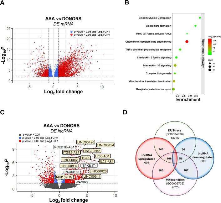 https://cdn.ncbi.nlm.nih.gov/pmc/blobs/03ce/12204013/117a4633dcc8/CS-139-06-CS20242476-g001.jpg
