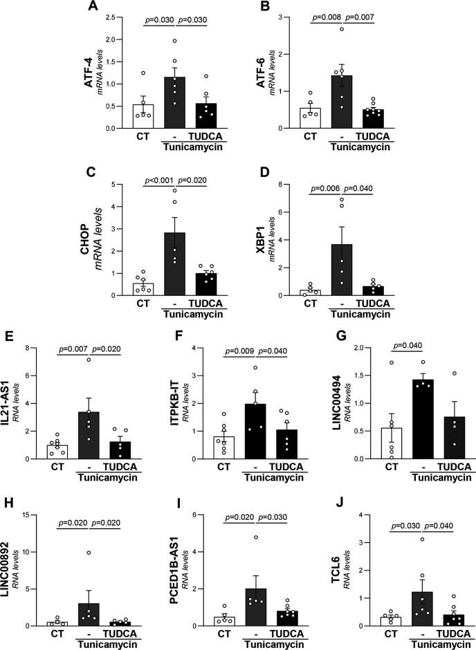 https://cdn.ncbi.nlm.nih.gov/pmc/blobs/03ce/12204013/450db0dc1262/CS-139-06-CS20242476-g005.jpg