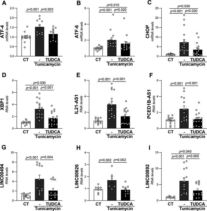 https://cdn.ncbi.nlm.nih.gov/pmc/blobs/03ce/12204013/93fa641b6eae/CS-139-06-CS20242476-g004.jpg