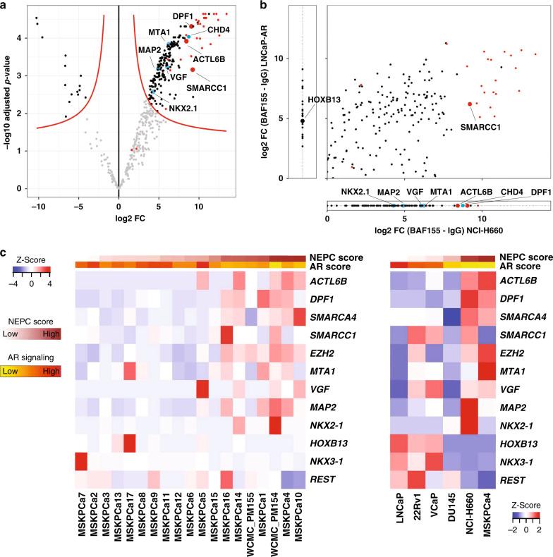 https://cdn.ncbi.nlm.nih.gov/pmc/blobs/03ce/7642293/7150d22d8e1d/41467_2020_19328_Fig4_HTML.jpg