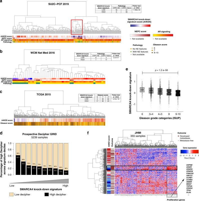 https://cdn.ncbi.nlm.nih.gov/pmc/blobs/03ce/7642293/cddf39e36a37/41467_2020_19328_Fig3_HTML.jpg