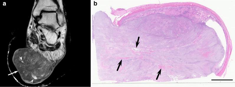 https://cdn.ncbi.nlm.nih.gov/pmc/blobs/03cf/8941041/766394596421/13244_2022_1205_Fig6_HTML.jpg