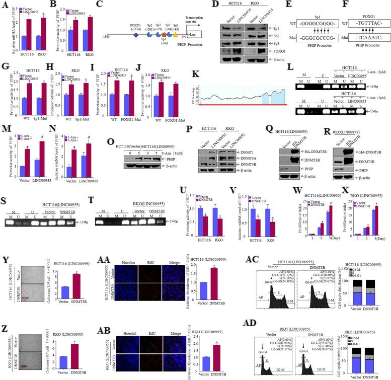 https://cdn.ncbi.nlm.nih.gov/pmc/blobs/03d0/10518100/2c4798e6c259/12885_2023_11403_Fig4_HTML.jpg