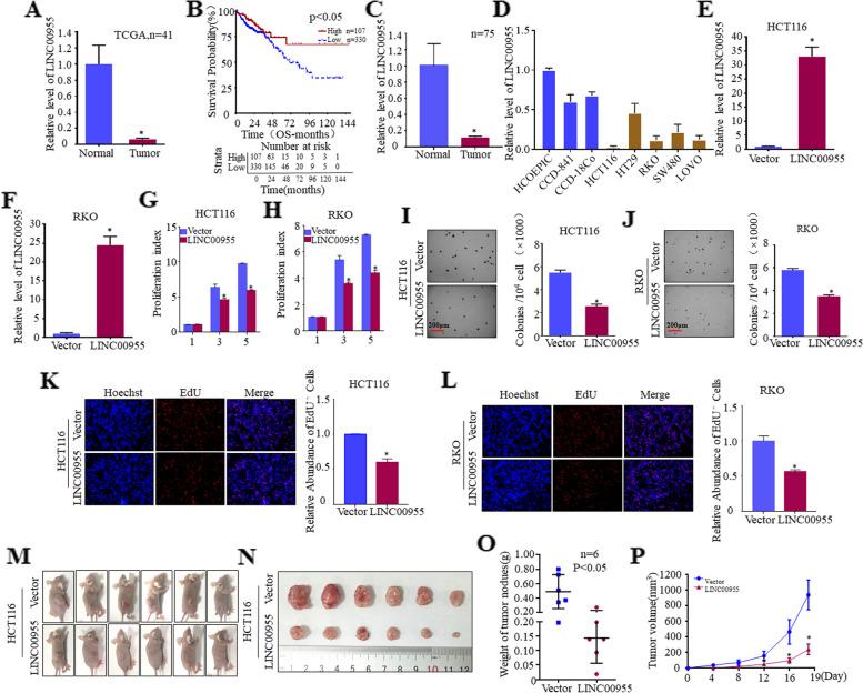 https://cdn.ncbi.nlm.nih.gov/pmc/blobs/03d0/10518100/3d13529abd9e/12885_2023_11403_Fig1_HTML.jpg
