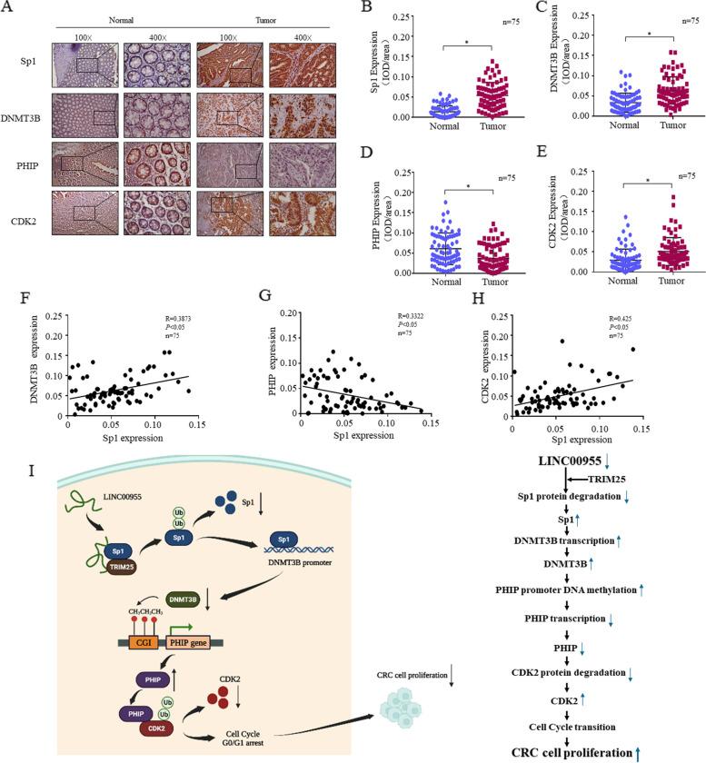 https://cdn.ncbi.nlm.nih.gov/pmc/blobs/03d0/10518100/429d9e920860/12885_2023_11403_Fig8_HTML.jpg