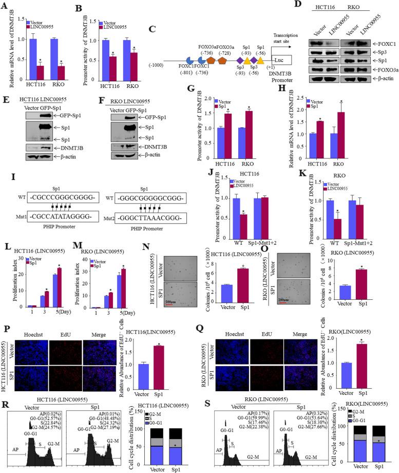 https://cdn.ncbi.nlm.nih.gov/pmc/blobs/03d0/10518100/53cbc623d5b7/12885_2023_11403_Fig5_HTML.jpg