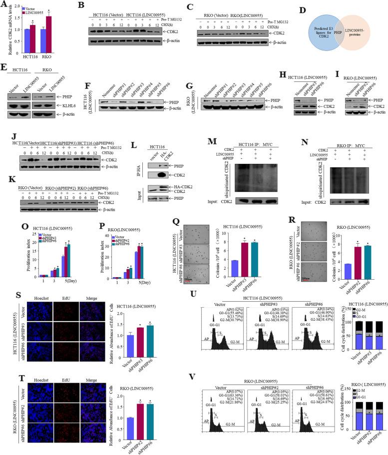 https://cdn.ncbi.nlm.nih.gov/pmc/blobs/03d0/10518100/f80b35506059/12885_2023_11403_Fig3_HTML.jpg
