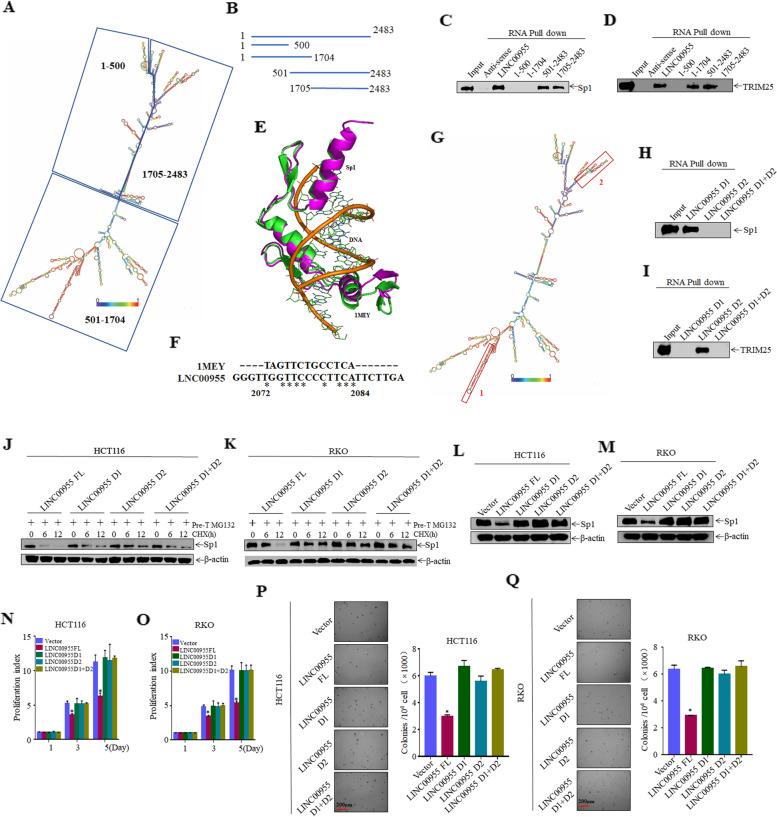 https://cdn.ncbi.nlm.nih.gov/pmc/blobs/03d0/10518100/f8fa82f6cbe4/12885_2023_11403_Fig7_HTML.jpg