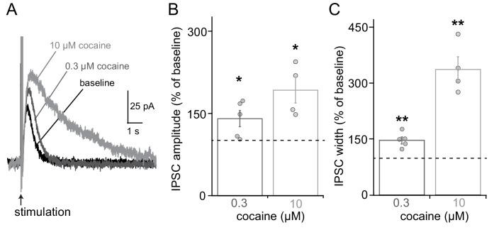 https://cdn.ncbi.nlm.nih.gov/pmc/blobs/03d0/6754207/6be8956c76c0/elife-47972-fig1-figsupp2.jpg