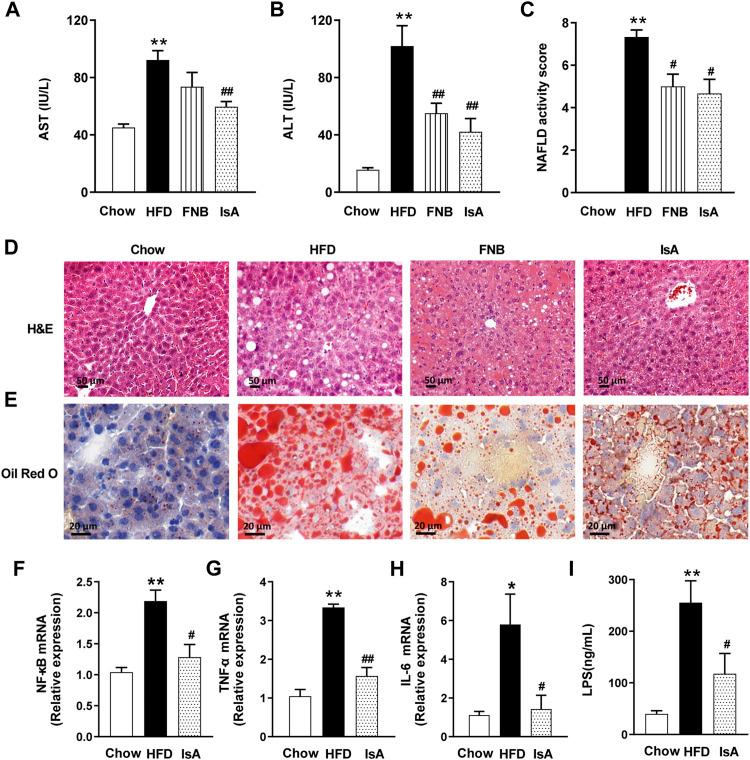 https://cdn.ncbi.nlm.nih.gov/pmc/blobs/03d5/8712733/2c0164d42d6c/fphar-12-771976-g002.jpg