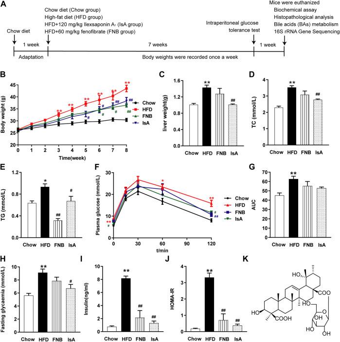https://cdn.ncbi.nlm.nih.gov/pmc/blobs/03d5/8712733/a89b4780a859/fphar-12-771976-g001.jpg