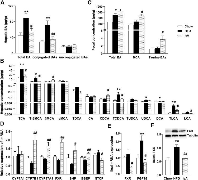 https://cdn.ncbi.nlm.nih.gov/pmc/blobs/03d5/8712733/f3a28d695588/fphar-12-771976-g003.jpg
