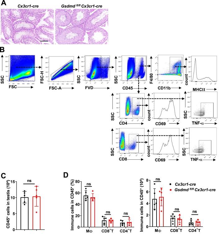 https://cdn.ncbi.nlm.nih.gov/pmc/blobs/03d6/10897472/989d49efa194/44321_2023_16_Fig11_ESM.jpg