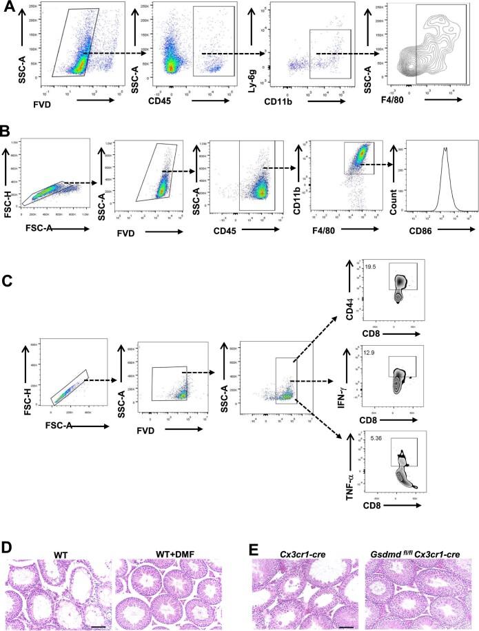 https://cdn.ncbi.nlm.nih.gov/pmc/blobs/03d6/10897472/eb35308b6706/44321_2023_16_Fig12_ESM.jpg