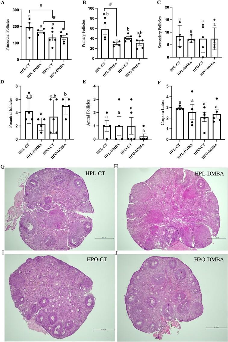 https://cdn.ncbi.nlm.nih.gov/pmc/blobs/03d6/11327319/ebe1261ee873/ioae059f3.jpg