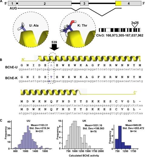 https://cdn.ncbi.nlm.nih.gov/pmc/blobs/03d7/2719355/4107a8e256fd/zbc0290979660001.jpg