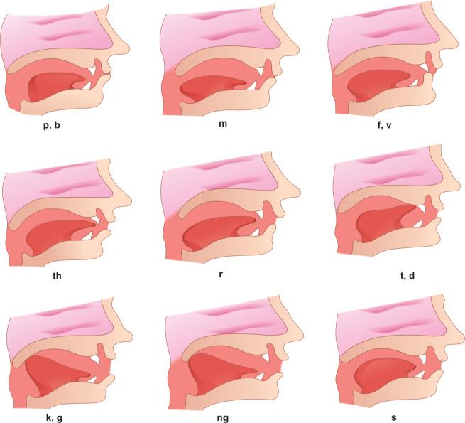 https://cdn.ncbi.nlm.nih.gov/pmc/blobs/03d7/7299882/07d4e6b6232d/ijcpd-13-85-g002.jpg