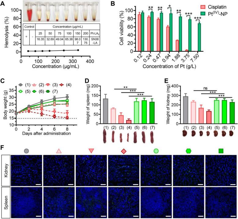 https://cdn.ncbi.nlm.nih.gov/pmc/blobs/03d8/8805243/0dea10b4a99d/40824_2022_249_Fig6_HTML.jpg