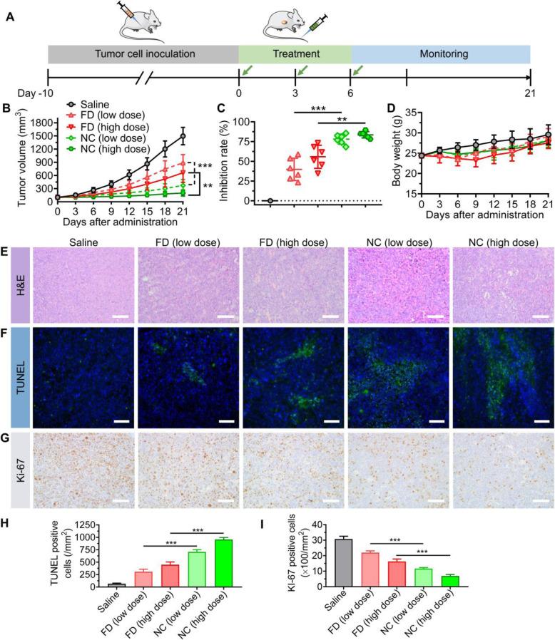 https://cdn.ncbi.nlm.nih.gov/pmc/blobs/03d8/8805243/252171b5dd4c/40824_2022_249_Fig5_HTML.jpg